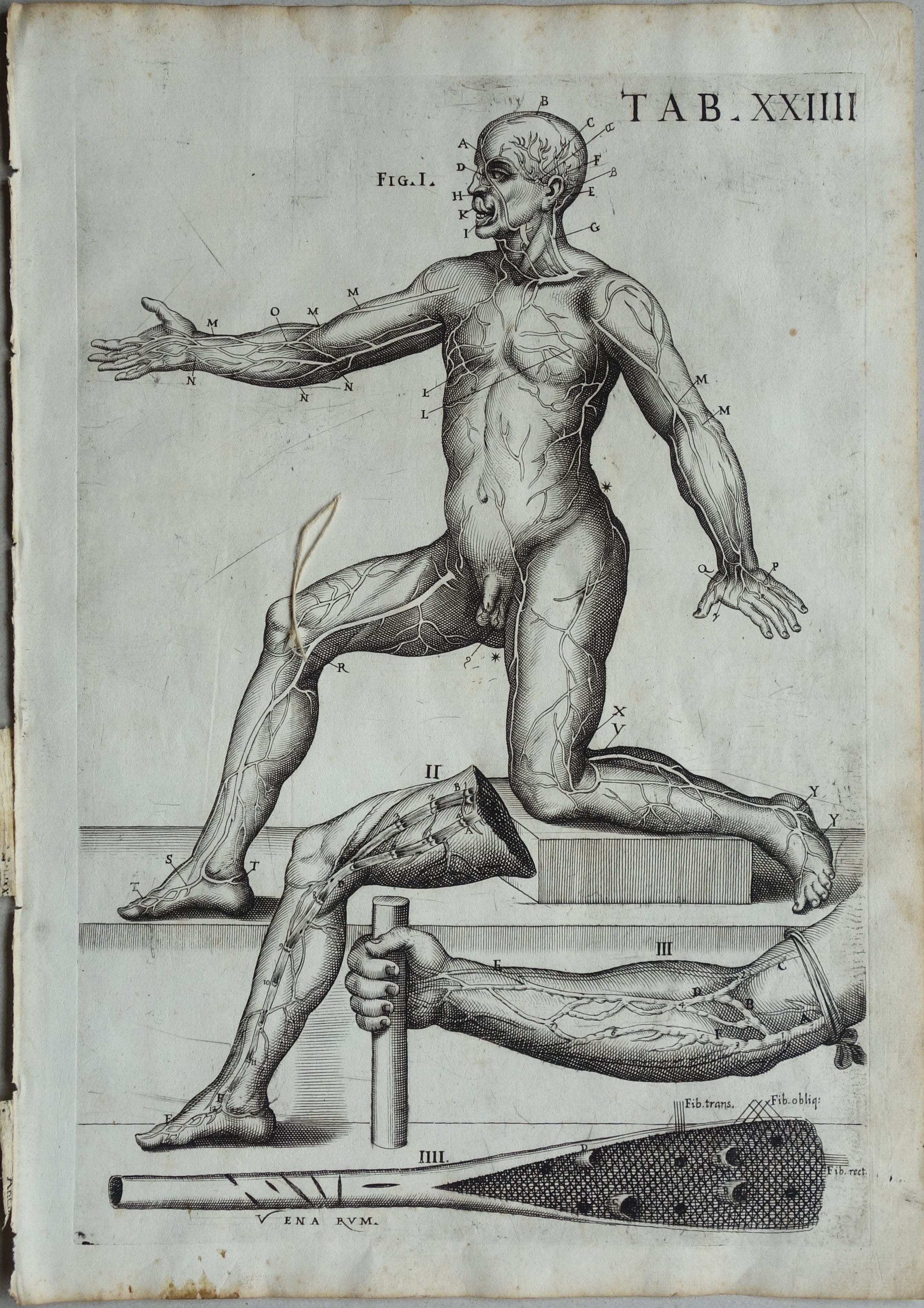 CORTONE Pierre de (d\'après)