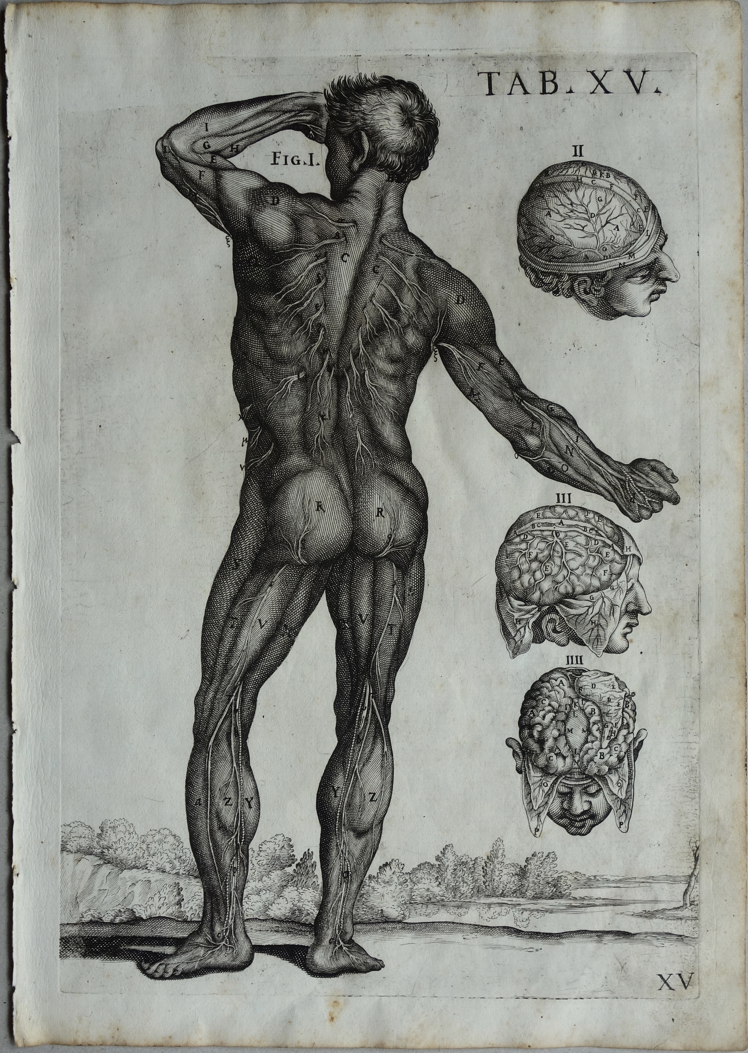 CORTONE Pierre de (d\'après)