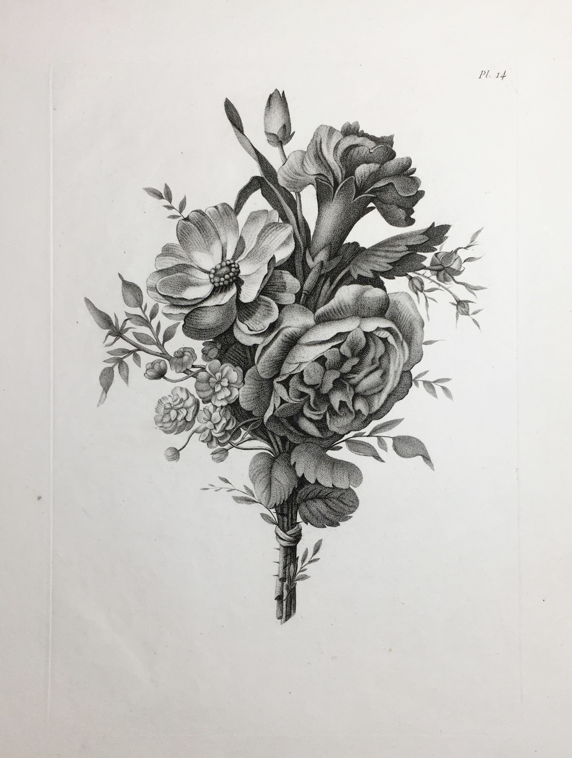 PREVOST Jean-Louis (d\'après)