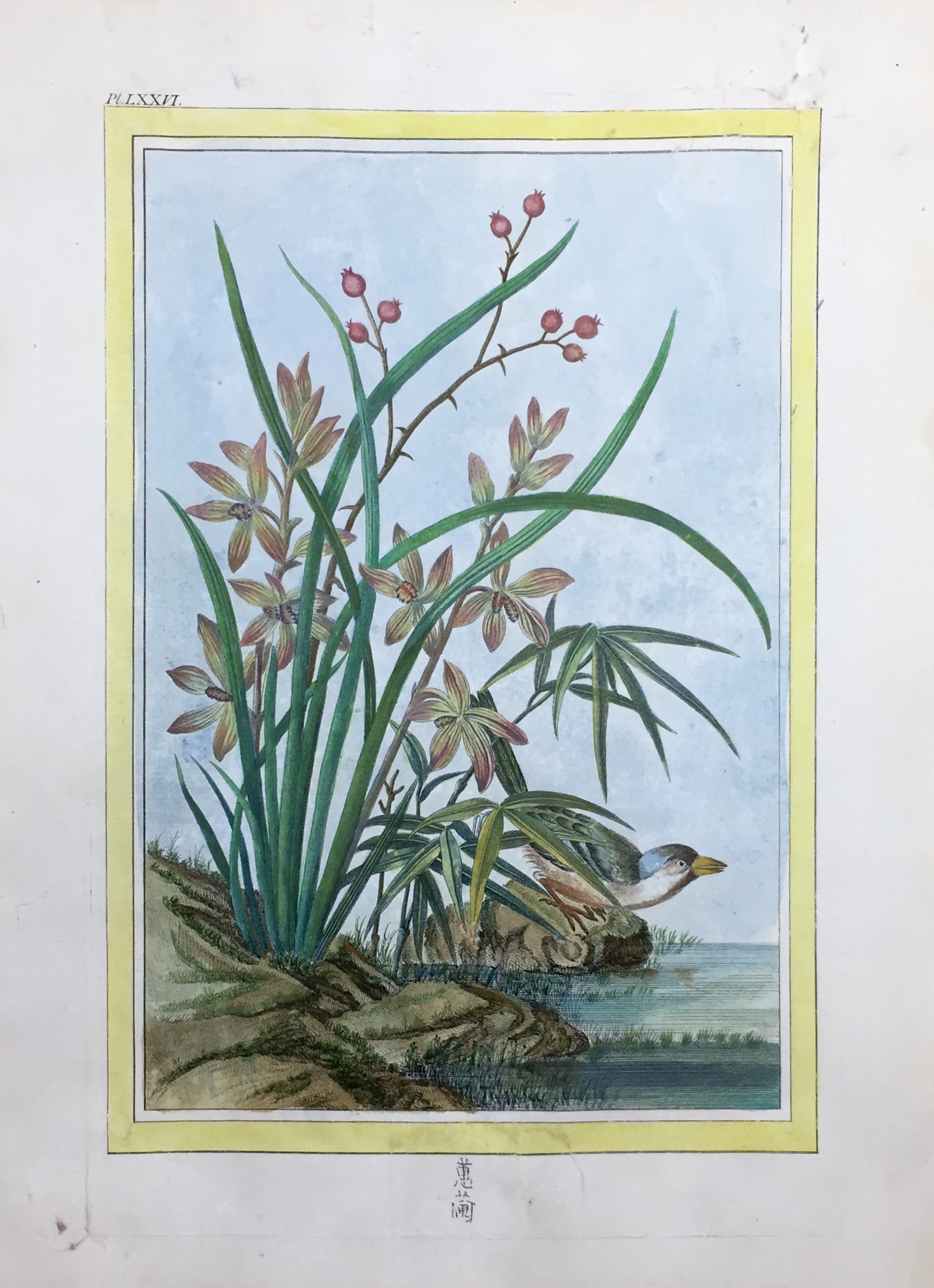 BUC\'HOZ Pierre-Joseph