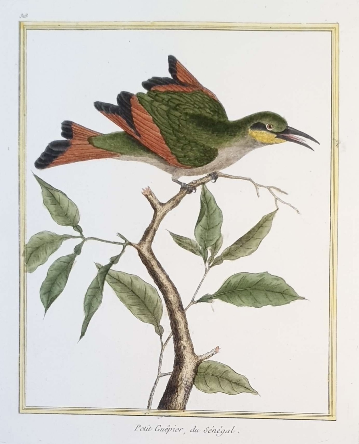 MARTINET, François Nicolas