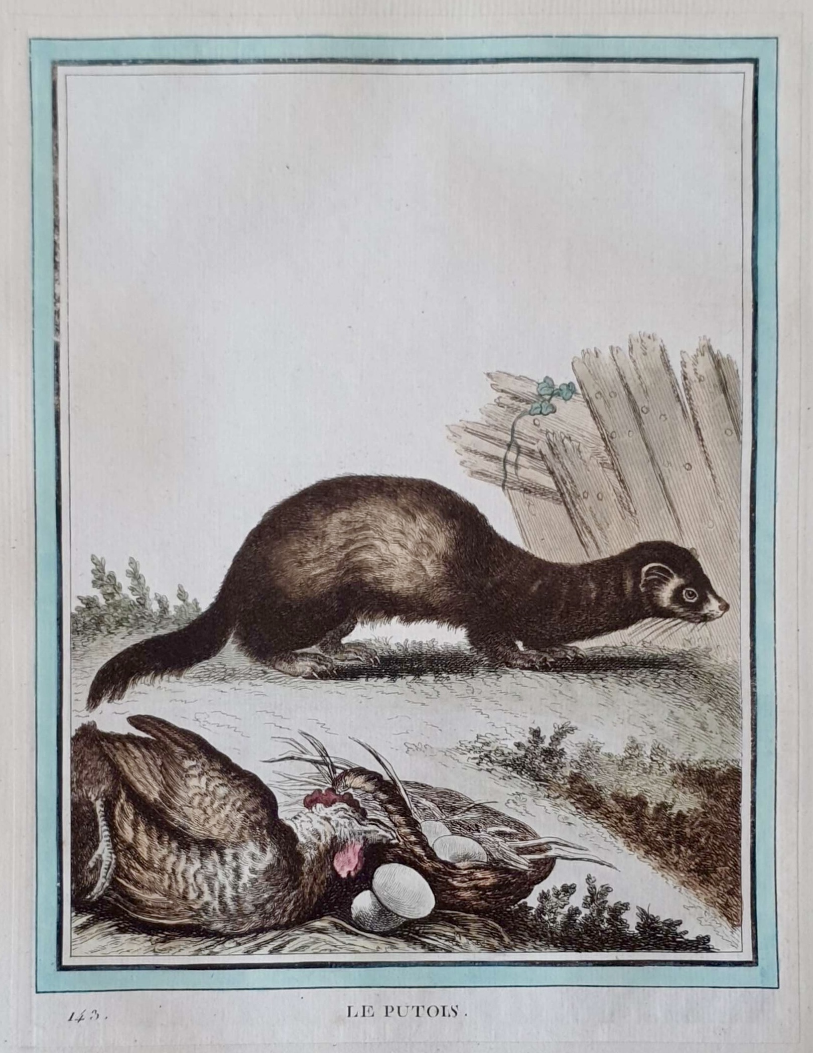 MARTINET, François Nicolas