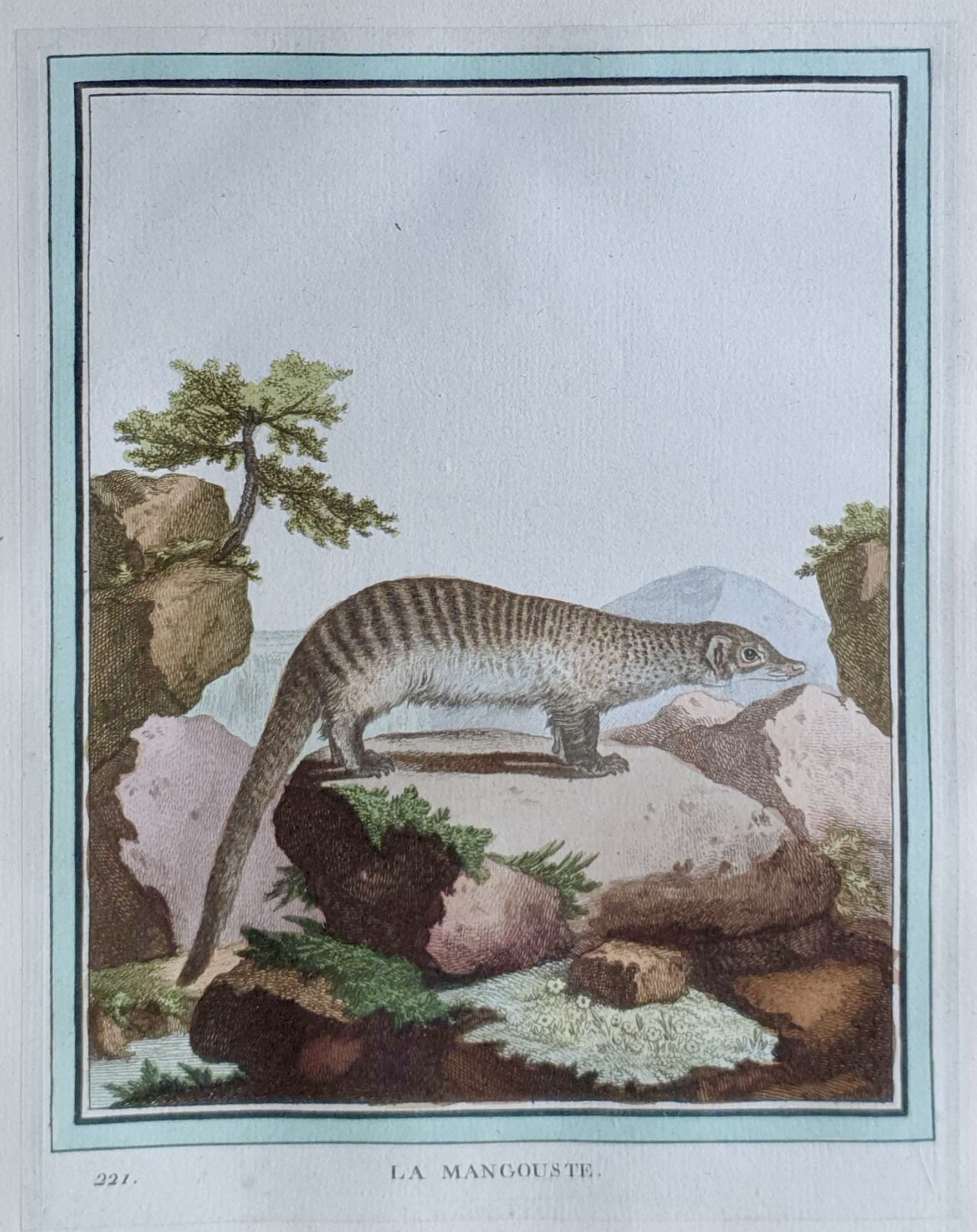 MARTINET, François Nicolas