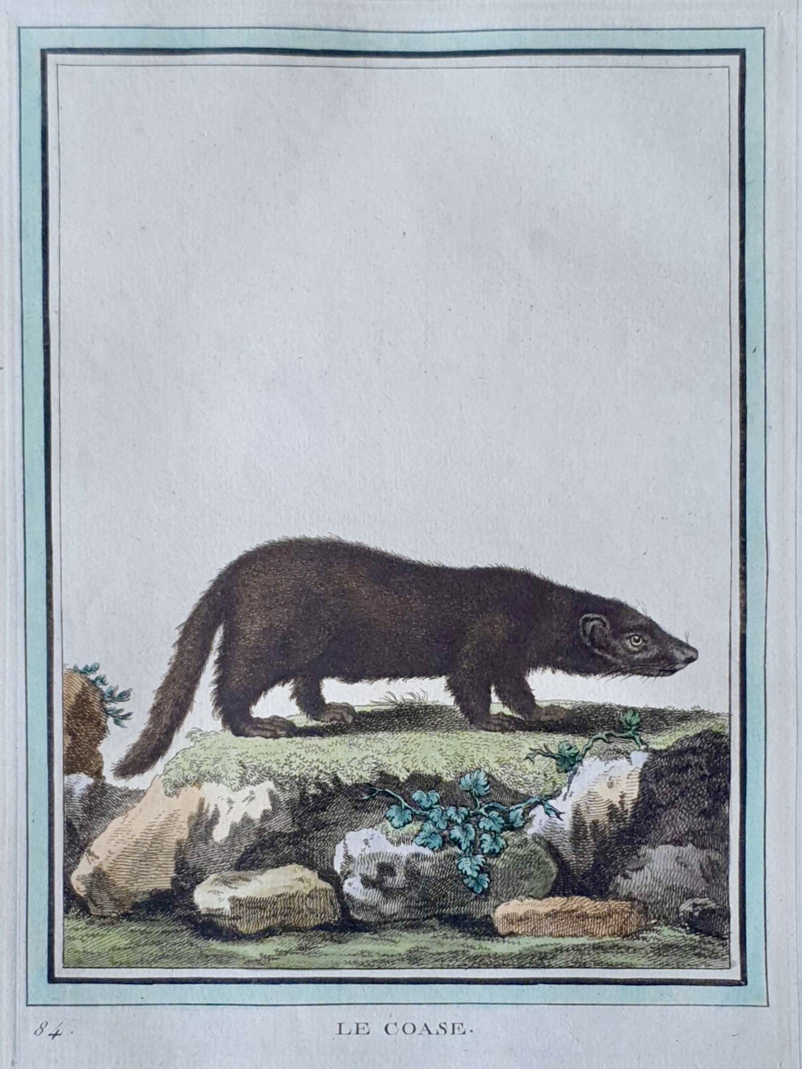 MARTINET, François Nicolas