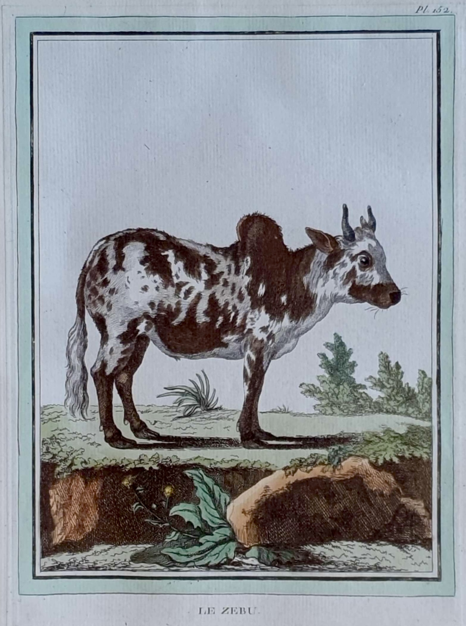 MARTINET, François Nicolas