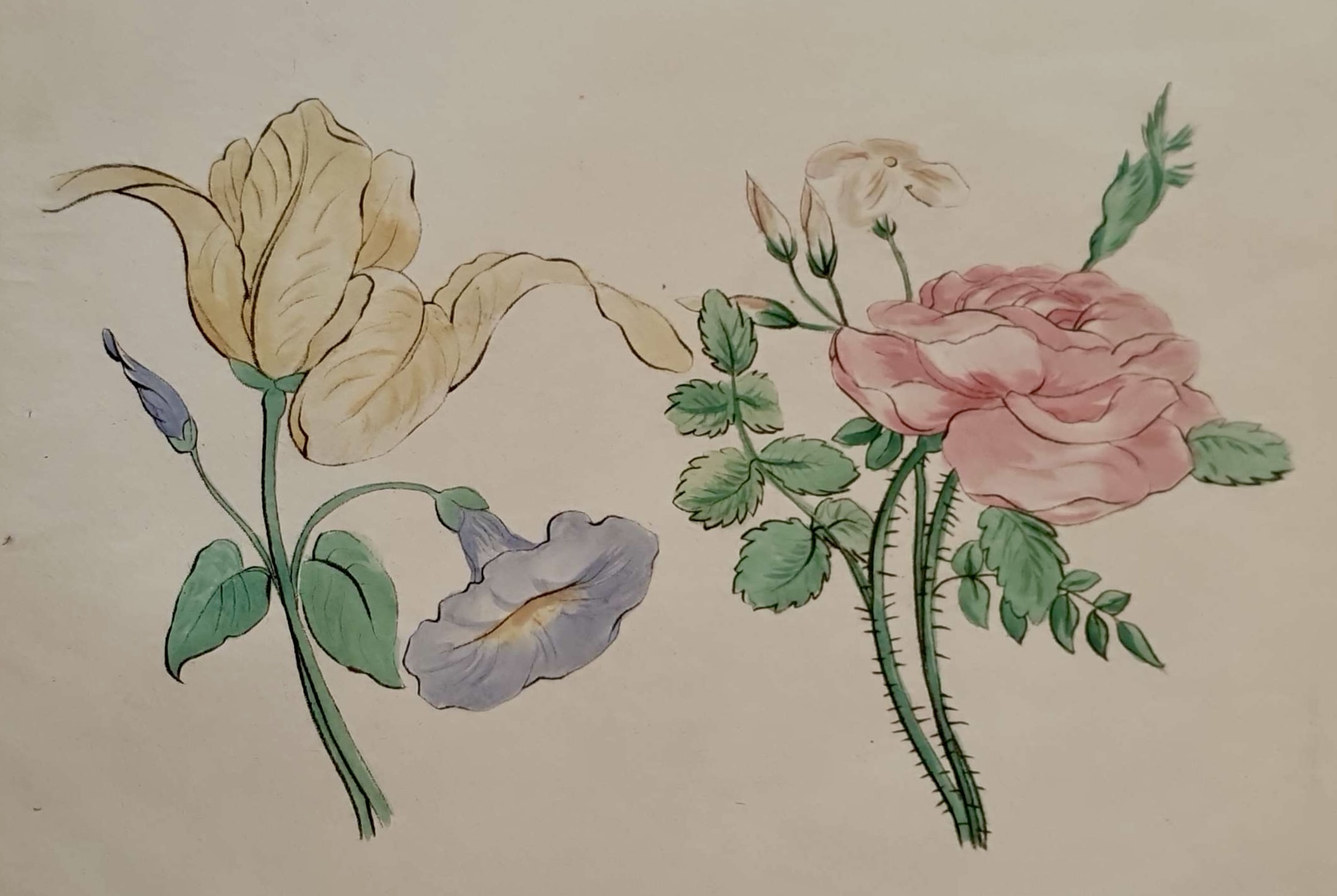 ECOLE FRANÇAISE DU XVIIIE SIECLE