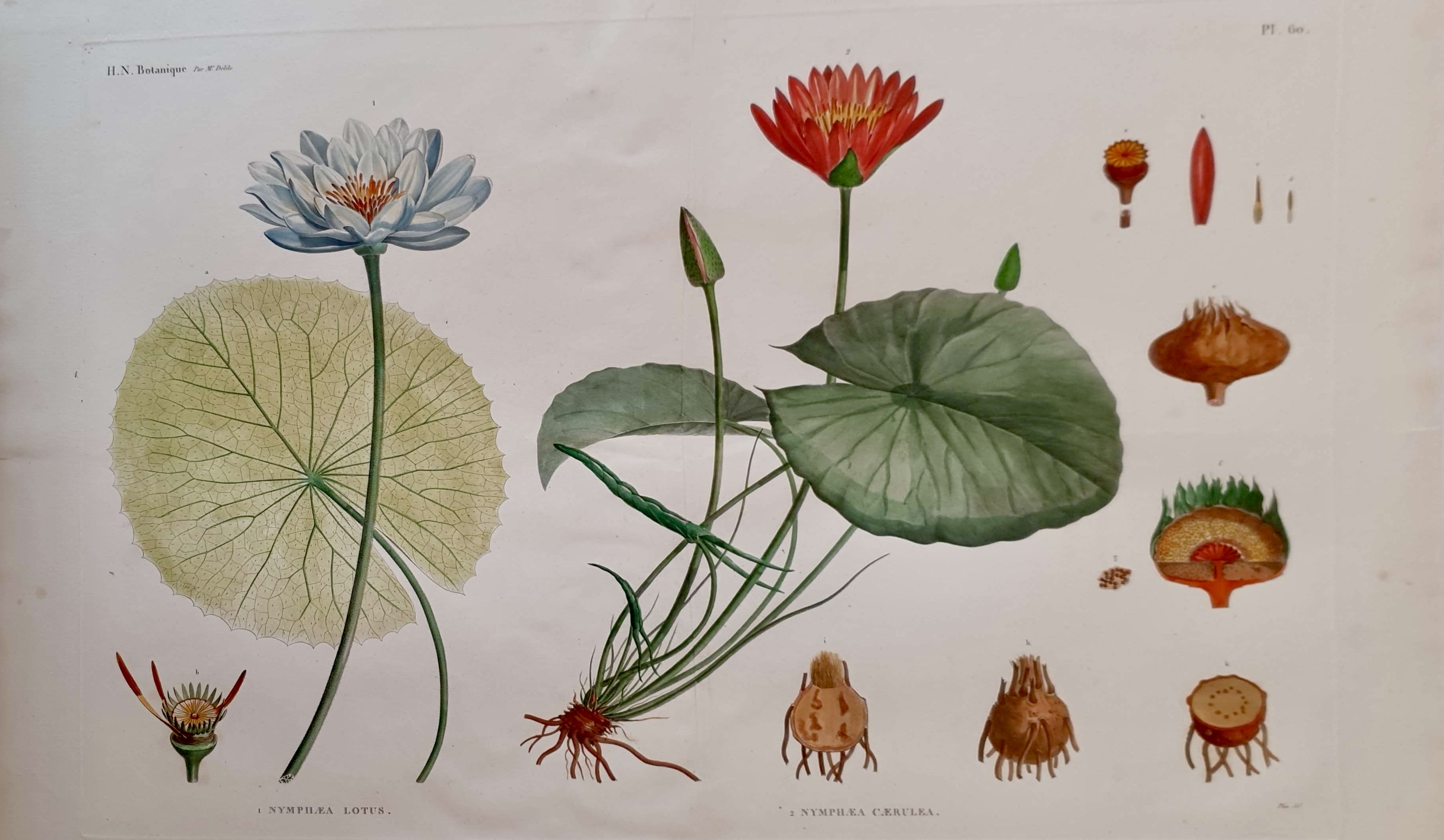 JOMARD Edme-François