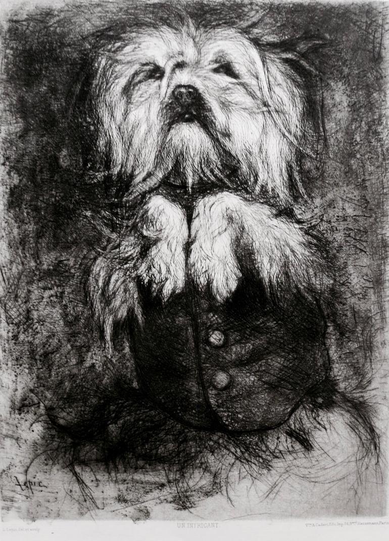 LEPIC Ludovic-Napoléon, comte