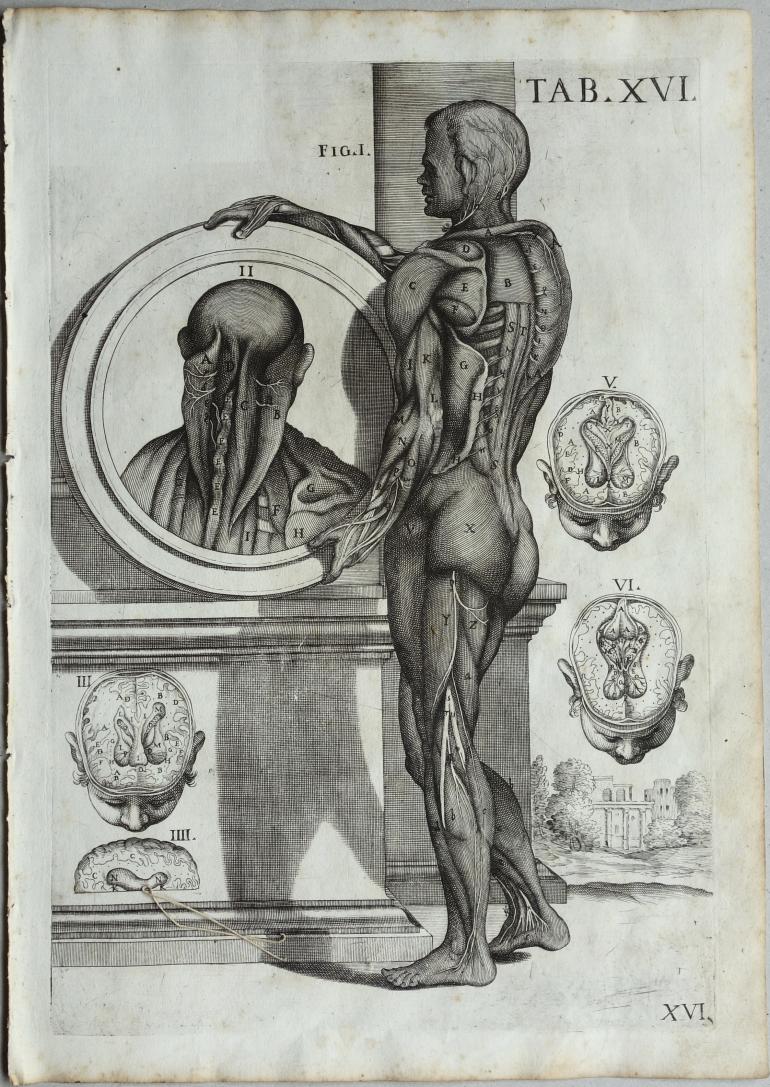 CORTONE Pierre de (d\'apr�s)