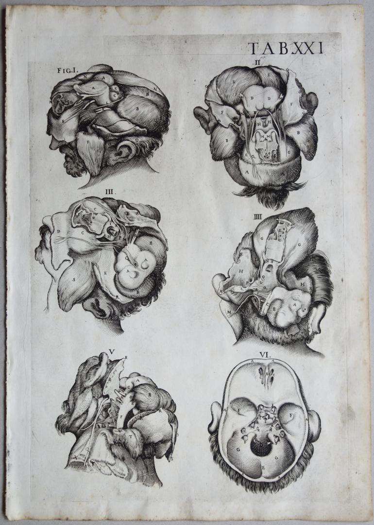 CORTONE Pierre de (d\'apr�s)