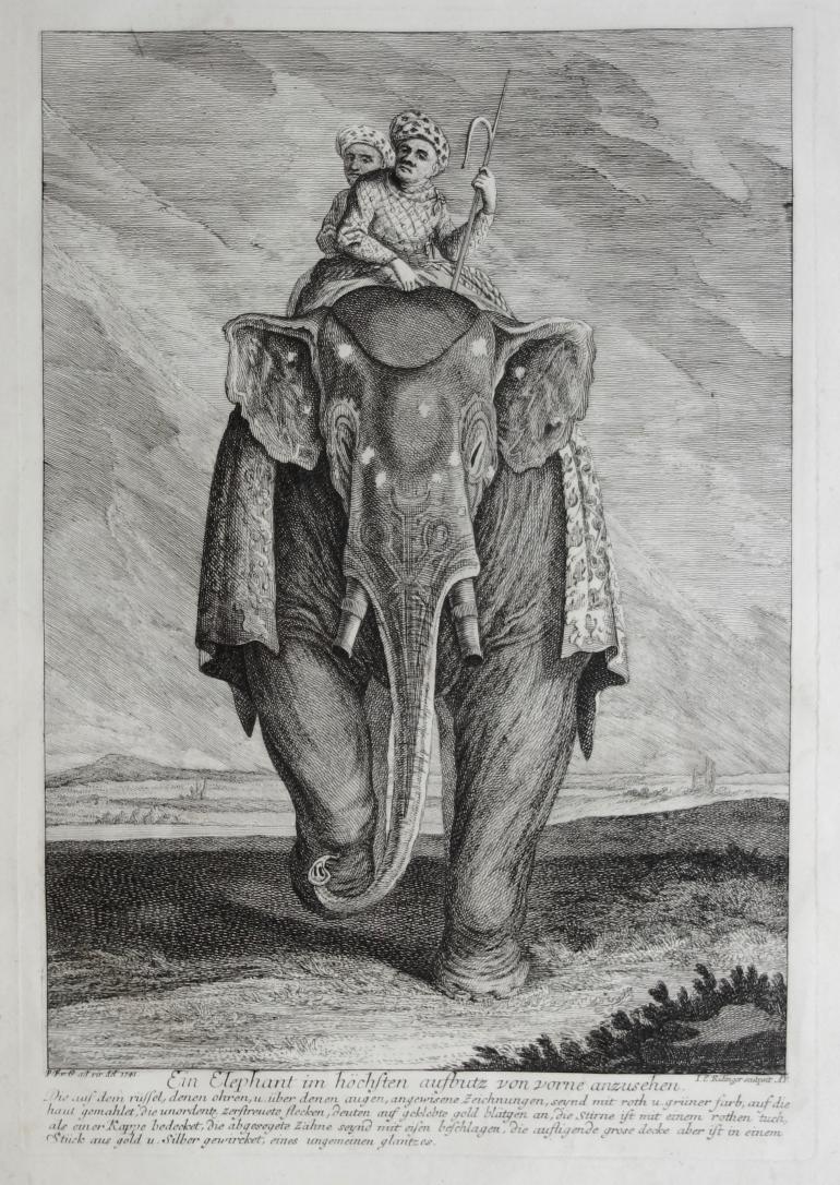 RIDINGER Martin Elias