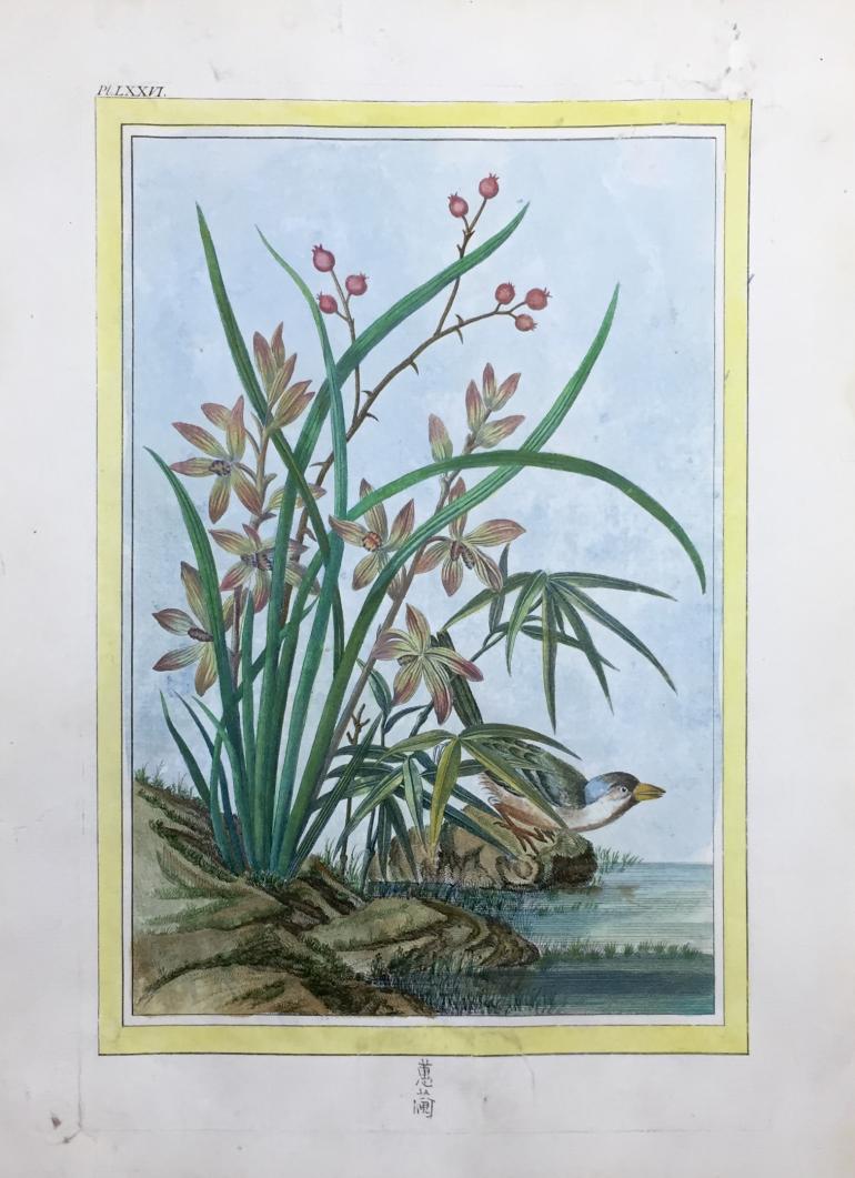 BUC'HOZ Pierre-Joseph