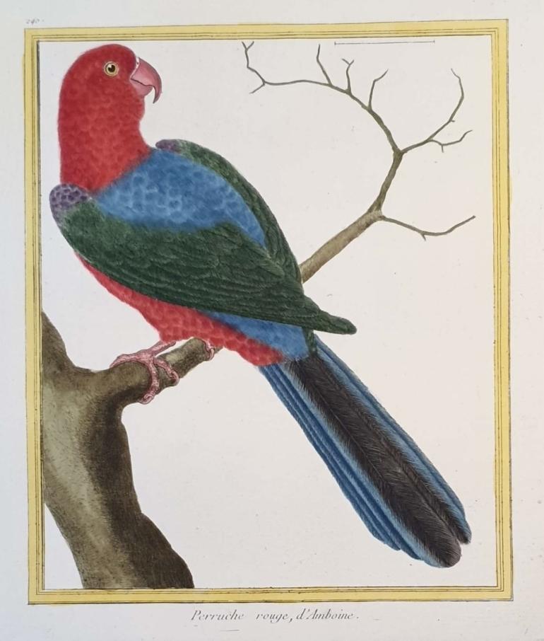 MARTINET, François Nicolas