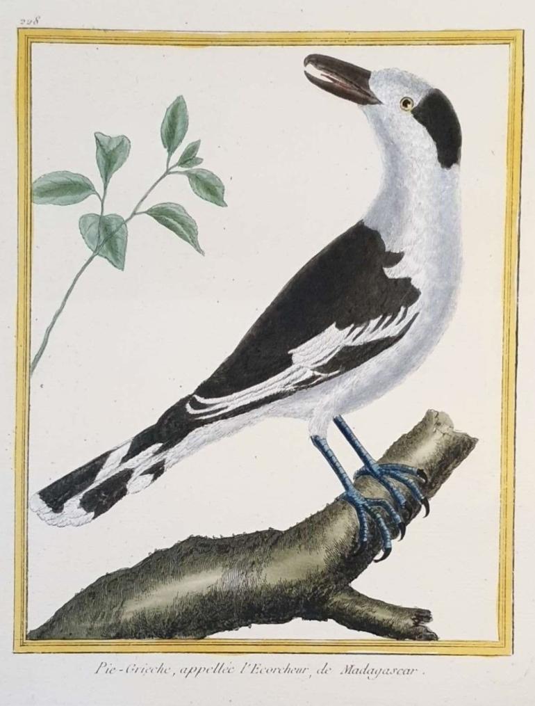 MARTINET, Fran�ois Nicolas