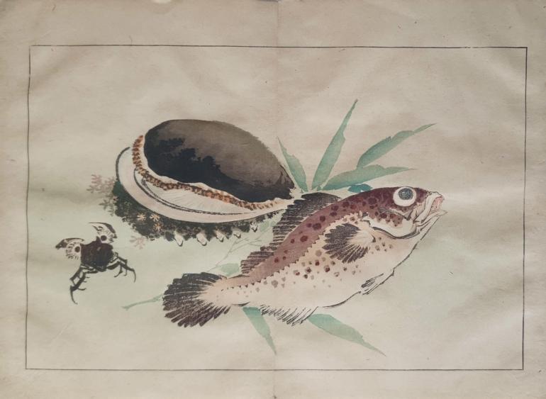 HOKUSAI Katsushika (d�apr�s)