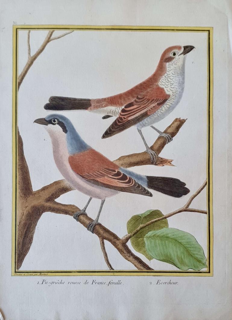 MARTINET, François Nicolas