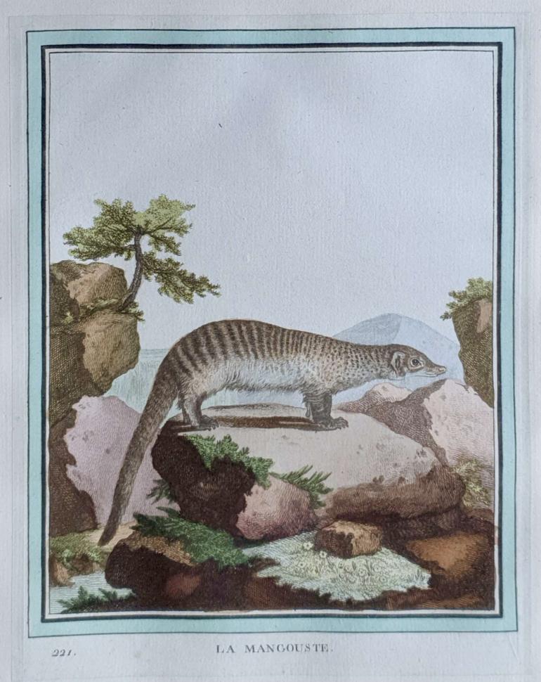 MARTINET, François Nicolas