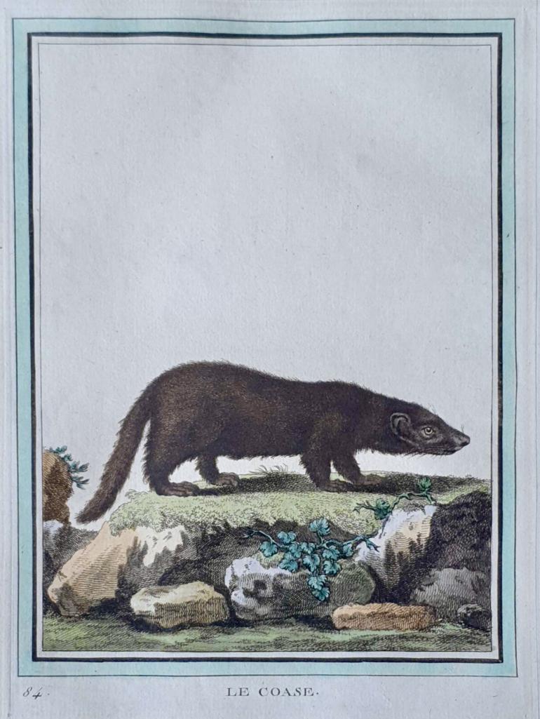 MARTINET, François Nicolas