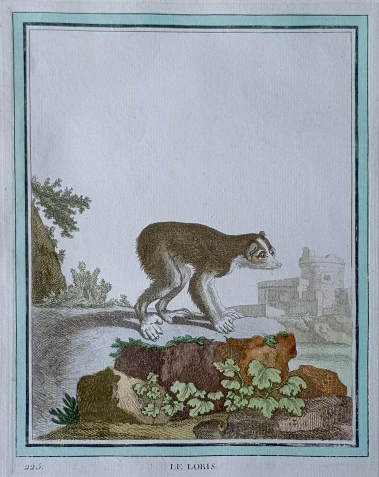 MARTINET, François Nicolas