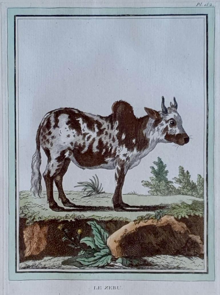 MARTINET, François Nicolas