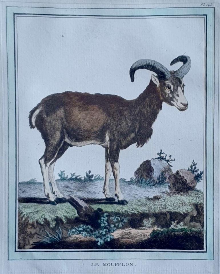 MARTINET, François Nicolas