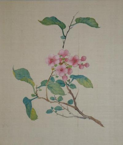 ECOLE CHINOISE DU XIXe SIECLE