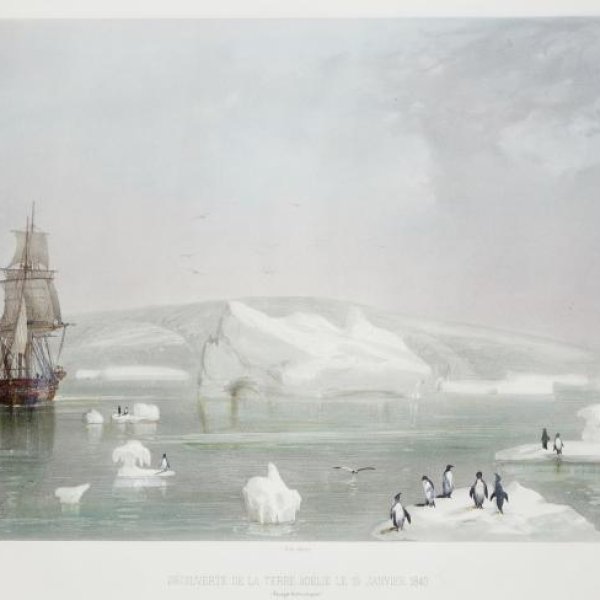 MAYER Auguste and SABATIER Léon Jean-Baptiste