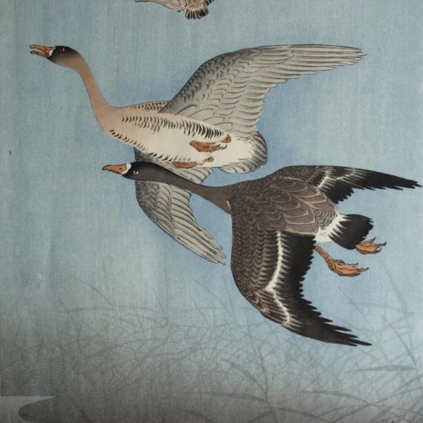 KOSON Ohara, called also SHOSON or HOSON