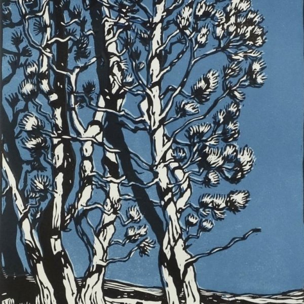 CAUTAIN Jean-Baptiste