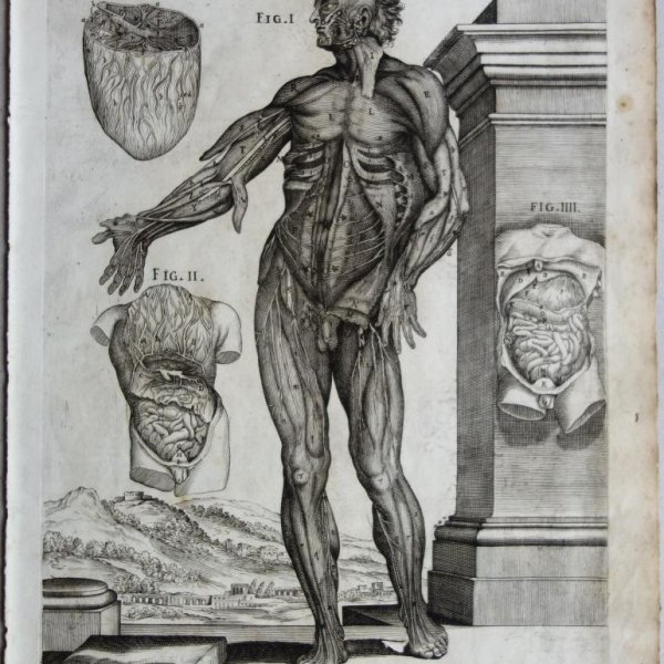 CORTONA Pietro da (after)