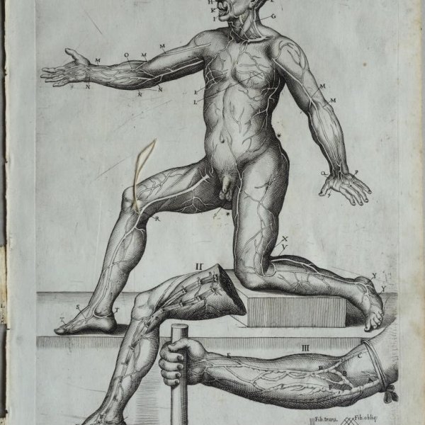 CORTONA Pietro da (after)