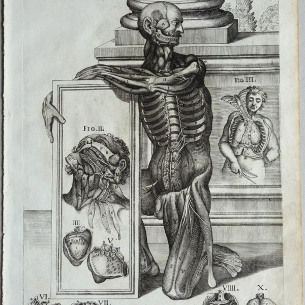 CORTONA Pietro da (after)