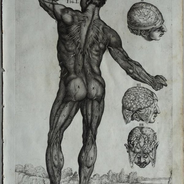 CORTONA Pietro da (after)