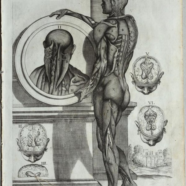 CORTONA Pietro da (after)