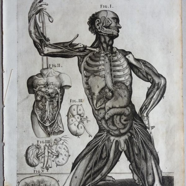 CORTONA Pietro da (after)