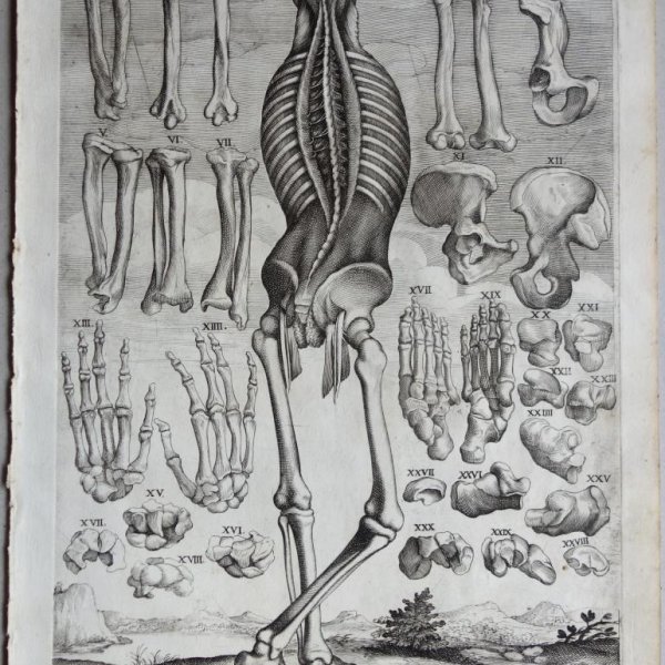 CORTONA Pietro da (after)