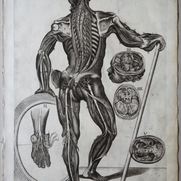 CORTONA Pietro da (after)