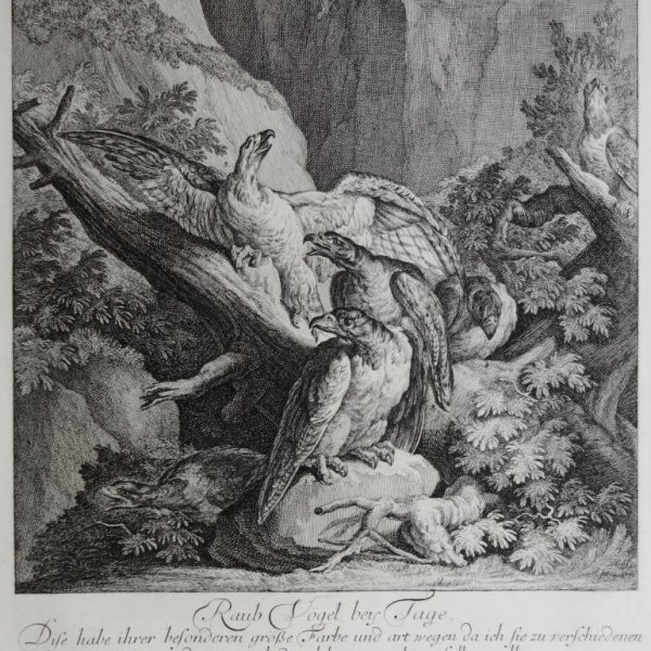 RIDINGER Martin Elias