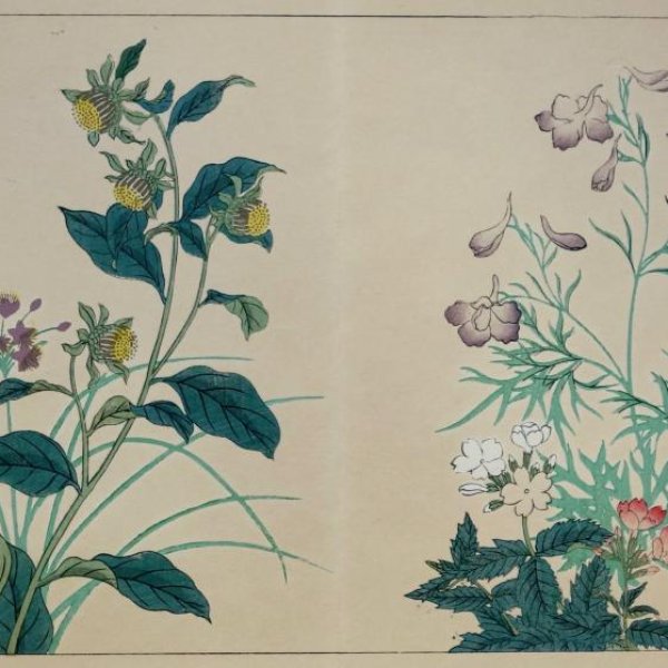 JAPANESE SCHOOL 19th 20th