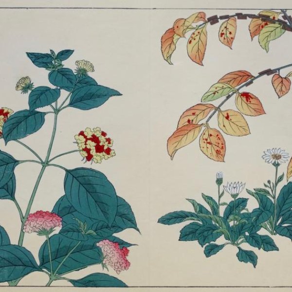 ECOLE JAPONAISE  XIXe XXe