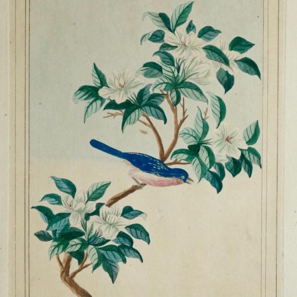 BUC'HOZ Pierre-Joseph