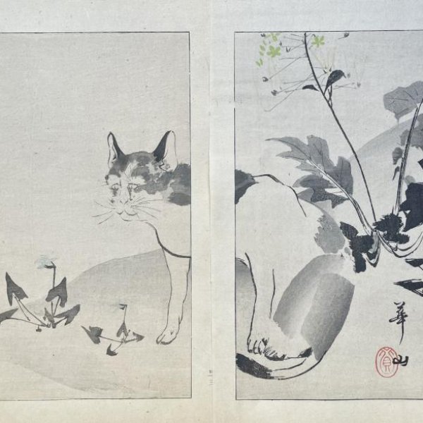 KAZAN Yokoyama (after)