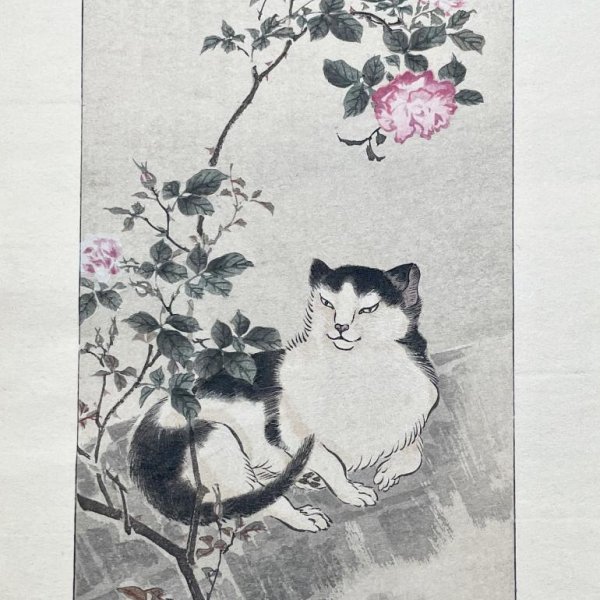 KAZAN Yokoyama (d'après)