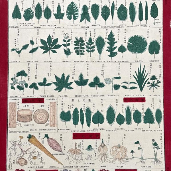 MEIJI JAPANESE SCHOOL