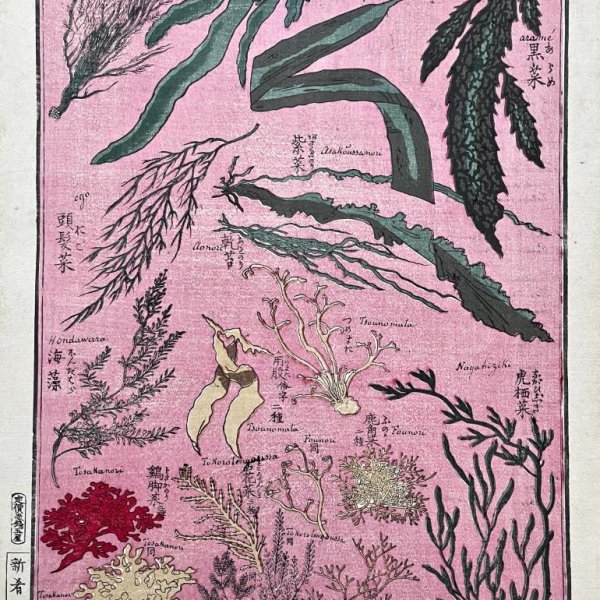 MEIJI JAPANESE SCHOOL