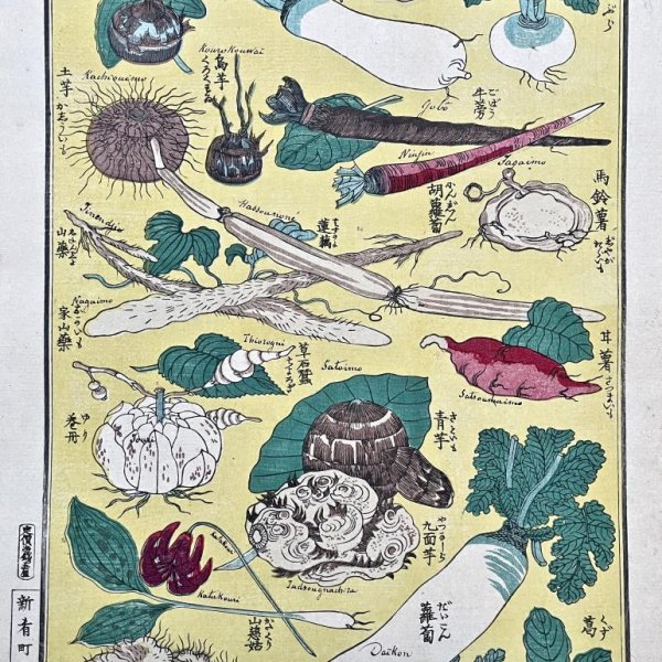 MEIJI JAPANESE SCHOOL