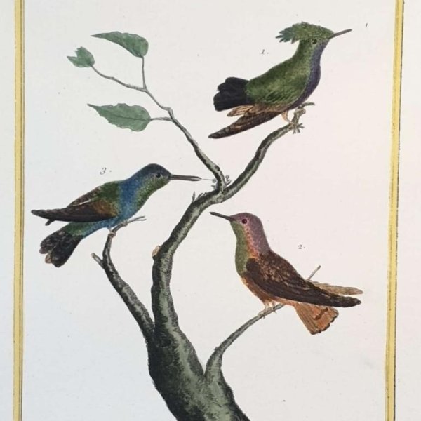 MARTINET, François Nicolas