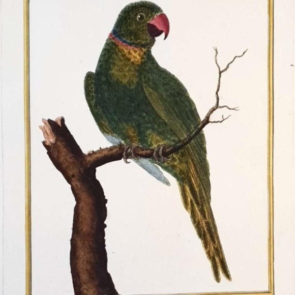 MARTINET, François Nicolas