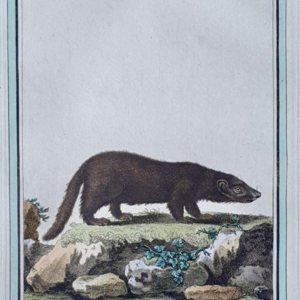 MARTINET, François Nicolas