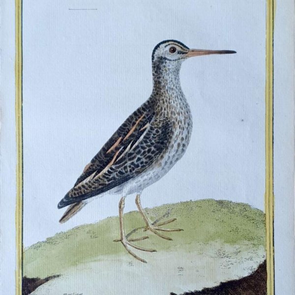 MARTINET, François Nicolas